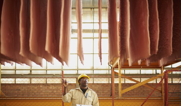 Cathode stripping at the Refinery